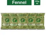 Goshudh Fennel 1250 g (250g X 5 Pack) Saunf