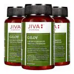 Jiva Giloy Capsule 60 Capsule Pack of 3