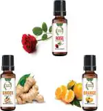 botanic garden Combo of Orange, Ginger & Rose Essential oil for Skin toning-10ml each (30 ml)