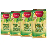 Celest Green Tea, 400 Tea Bags - Mint Lemon Ginger| Tea Bags | Green Tea
