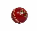 SG Leather Club Cricket Ball
