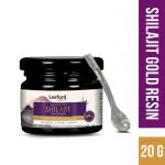 Leeford Pure Shilajit gold resin, 20gm - Helpful for improve Strength, Stamina & boost Energy for Men & Women | Pure and Natural Shilajeet with Swarna Bhasma for oveall Health