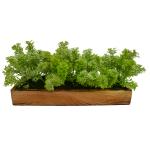 Fancy Mart Green Artificial Coriander Plant Bunch in Wood Planter 5 x 10 x 30 cm (FMDB-6353)