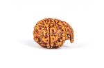 Feel Touch Mart 8 Mukhi Beautiful Ganesh Rudraksha Nepal Bead with Lab Certified