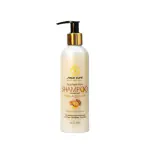 Sogo Cure Post rebonding Pure Argan Oil Sulfate Free Shampoo