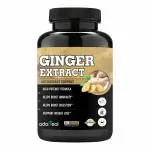 Adorreal Ginger Extract for Digestive Health, Immunity, Metabolic Profile, Immunity Support-60 Capsules