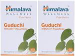 Himalaya Wellness Pure Herbs Guduchi Immunity Wellness Tablet Ayurvedic Medicine (2 Packs, 60 Tabs Each)