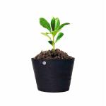 GIG Handicrafts Beutiful Recycled Tyre Planter with Handles Rubber Hanging Basket Plant Container Antique Eco-freindly Plant Holder for Decor and Gift (20 cm x 20 cm x 13 cm)