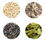 ORGANIC BASKET Pumpkin,Sunflower,Chia,Watermelon Seeds For Eating And Immunity Seeds,Each 100 Gram (Pack of 4)