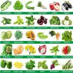 Greenery Hub Organic 30 Varieties Vegetables Seeds Combo Pack (30 Per Packet)