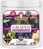Sansar Green Grapes Growth Powder Manure (0.2 kg, Powder)