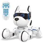 QUALITIORC Robot Dog with Voice and Light Walking Programmable Dog for Kids