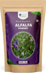 Bliss of Earth 1kg Alfalfa powder Natural Sprayed Dried Great for skin and hair full of vitamin & minerals