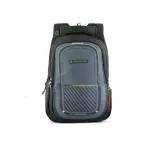 Harissons Bags Verge Multicolor Polyester 15.6 inch Casual Laptop Backpack with Rain Cover and Pouch 36 L (HB1181DGREYGREEN)