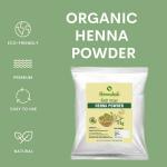 1 kg of the Best Natural Rajasthani Henna Powder Will Give You Gorgeous Hair