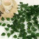 Dekorly Artificial Green Leaf Vine Money Plant Hanging, Artificial Ivy Leaves, Artificial Creeper Leaf Vine, Artificial Ivy Foliage, Ivy Wall Decor,Roof Decor | Each Plant 6 Feet (Green, 48)
