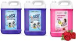 GEINE & DENV Top And Front Detergent And Pink Dishwasher Multi-Fragrance, 1 L Each (Combo Of 3)