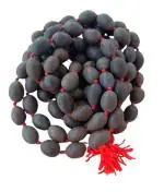 Feel Touch Mart 108 Big Lotus Seeds Kamal Gatta Japa Mala Energized Kamal Gatta Mala Kamal Gatta For Pooja & Wearing Jaap Mantra Real By