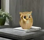 MAYRA Showpices Hub Classy Lucky Owl Resin Art Figure Showpiece Decorative Showpiece - 14.5 cm (Brass, Gold)