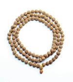 Shivoham Rudraksha Mala 108 Plus 1 - Jal Dub Pakka Dana