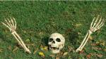 My Party Suppliers Halloween Horror Buried Alive Skeleton Skull Ornament Garden Yard Lawn Decoration Festival Prank Crafts Halloween Decoration (pack of 3)