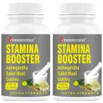 Immunescience Stamina Booster - 120 Tablets (Pack of 2)