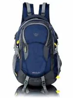 Wesley Spartan Unisex Travel Hiking Laptop Bag fits Upto 17.3 inch with Raincover