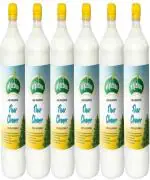 Whitebust Phenyl floor cleaner advance floor cleaner Pine Fragrance (6 x 1 L)