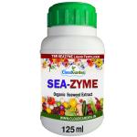 CloudGarden Sea Zyme Liquid Fertilizer 125ml | Organic Plant Growth Enhancer for All Plants | 100% Natural Seaweed Extract | Suitable for Indoor & Outdoor Gardening