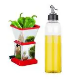 Blue Wonder Stainless Steel Chilly Cutter Cutter With Plastic Oil Dispenser and (Multicolour, Pack of 2)