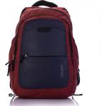 iStorm Desire Anti theft Water Resistant Casual Laptop bag, bag Laptop Backpack for College,school, Office Bag Suitable for Men Women, laptop bag with USB Charging Port