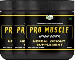 Inlazer Pro Muscle High Protein Weight Gain Powder/ Protein Supplement/ Weight Gainer Weight Gainers/Mass Gainers (300 g, No Flavour)