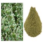 Vi Vethan Sirupeelai powder 100gm