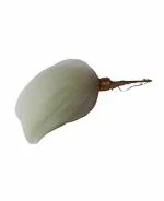 Zoltamulata White Sacred Fly Whisk chamara for Temple, 75 cm