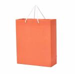 PPJ HAPPY BIRTHDAY PARTY (PLAIN ORANGE) (30 Pcs.) PAPER CARRY BAG, 10 Inch X 12 Inch X 4 Inch RETURN GIFT/HAPPY BIRTHDAY/RETURN GIFTS/GIFTS/GIFT BAGS/GIFT COVERS (Pack of 30)