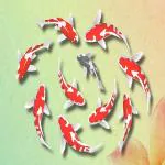 Art Factory Feng Shui Koi Fish Painting on Board Acrylic 16 inch x 24 inch Painting (Without Frame)