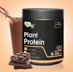 Vegan Bit 100% Plant Based Protein Powder Blend, Natural Chocolate Flavour-300gm