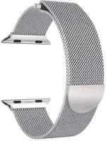 LIDDU Metal Smart Watch Strap for Fire Boltt Visionary (Silver)