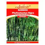 SENECIO Bamboo Phyllostachys Nigra, Lucky Plant Seed - 20 Per Packet