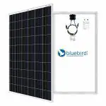 Bluebird Solar 325 Watt 24 Volt Mono Crystalline PERC Solar Panel (BIS Certified)