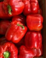 Rosemary Organic Red Capisum Seed 25 Per Packet