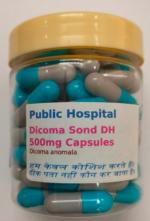 Dicoma Sond DH Herbal Supplement Capsules 60 Caps Jar - DoctorKC Herbal