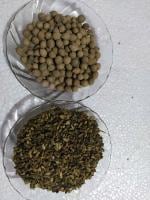 Tamransh Ambestore Combo Shivlingi Seeds , Putrajeevak Seeds, 200 (Pack Of 2)