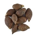 HerbalPrash Niranjan Phal 100Gram| Sterculia Lychnophora | Malva Nuts | China Nuts | Umasmangu | Small Size