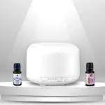 Ayurmeans Aroma Diffuser AD-600 With 2 Fragrance Oils for Dust Remove & Air Purification (500 ml)