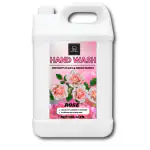 BLISS & BLUSH hand wash liquid 5Liter Plant Based, Non Toxic, Natural, Organic, Herbal, Chemical Free, Paraben Free, pH Balanced, Tough On Germs, Gentle On Hands