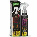 ST-JOHN Black Scent Air Freshener Spray for Home and Office With Trigger Pump 220ml