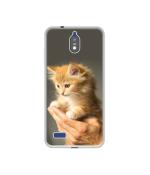 Casotec Cute Kitten Design Printed Silicon Soft TPU Back Case Cover for Jio Phone Next