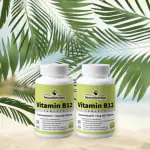 NeuroNutrition Oxford Specialist Vitamin B12( BUY1GET1FREE Pack of 2 (120 Tabs))