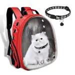 Buraq Red Outdoor Breathable Airline-Approved Ventilation Transparent Carrier Backpack for for Dogs, Cats, Rabbit & Birds